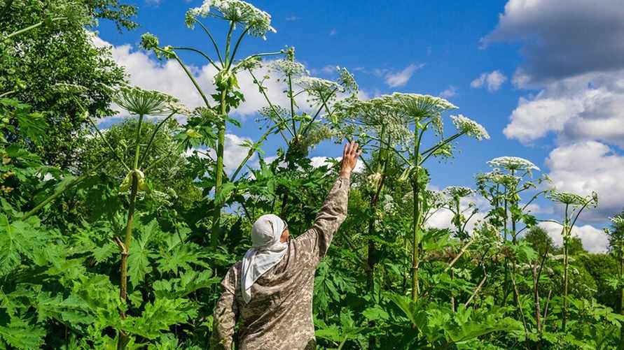 Фото иллюстрационное