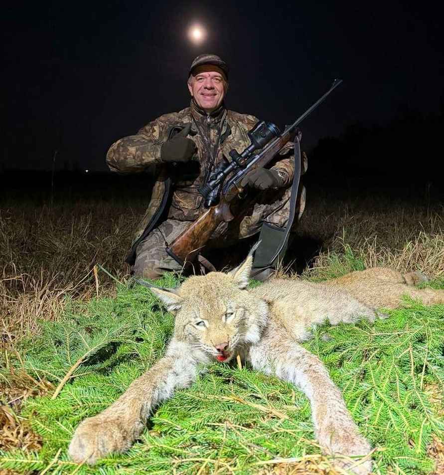 В БООР показали первую убитую за 40 лет в Беларуси рысь