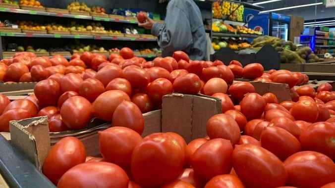 When will Belarus be fully self-sufficient in 'winter' tomatoes? Government sets date