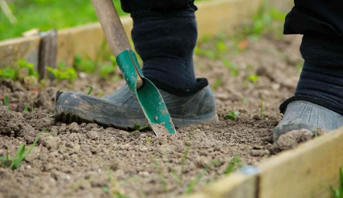 Фото иллюстрационное