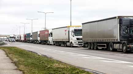«У нас конфискуют транспорт» — Литовские перевозчики пожаловались на проблемы с оплатой стоянок в Беларуси