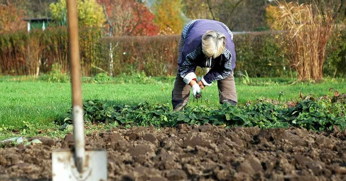 Фото иллюстрационное