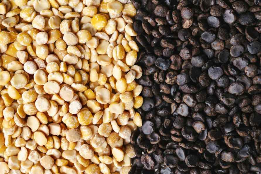 Белорусам приготовиться? Бельгийский стартап придумал, как заменить дорогущий кофе этим растением