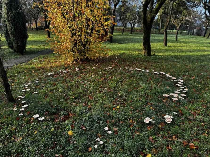 Фото: novinky.cz