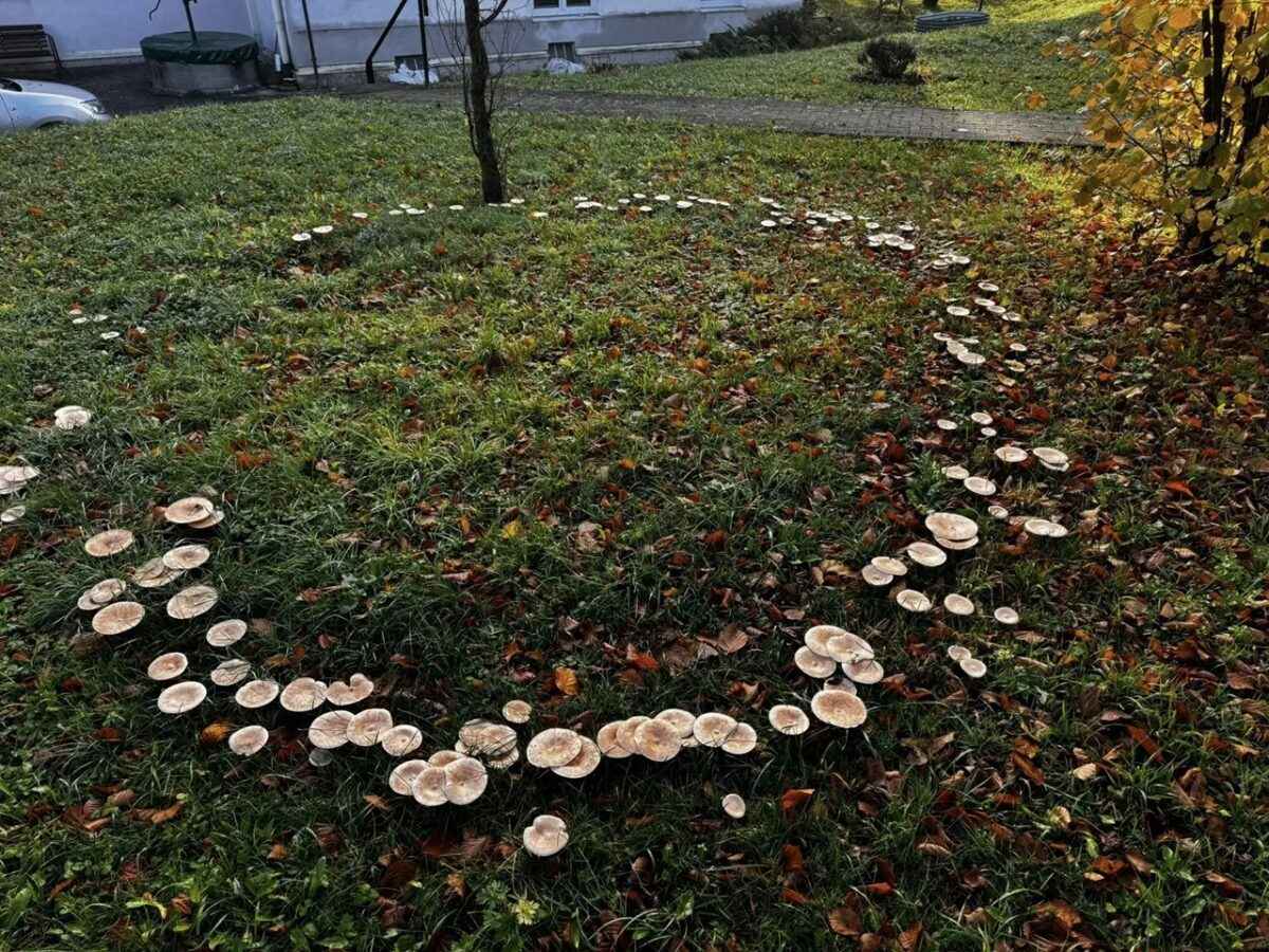 Фото: novinky.cz