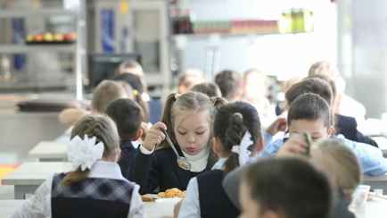 В НАН предложили кормить белорусских школьников мясо-растительной «рыбой». Это что?