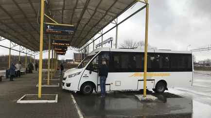 «Это уже перебор» — Белоруска пожаловалась на водителей автобусов. Пользователи TikTok разделились на два лагеря