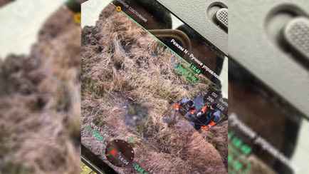 Поисковики нашли тело пропавшего под Березино 14-летнего Максима