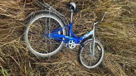 Поисковики нашли велосипед пропавшего под Березино 14-летнего Максима. МЧС задействовало авиацию