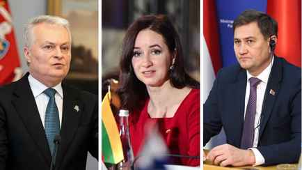 «Не можем публично обсуждать» — Литва получила предложения Беларуси. Что известно?