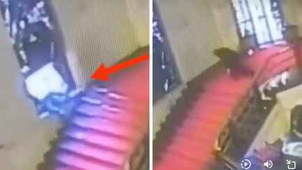 Падения года? Итальянский политик головой разбил исторический витраж и стал интернет-мемом