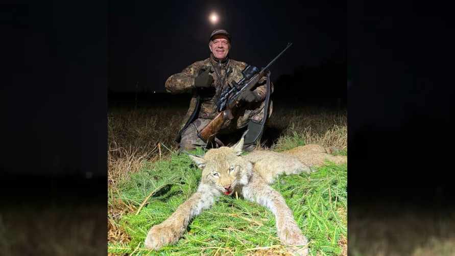 В БООР показали первую убитую за 40 лет в Беларуси рысь