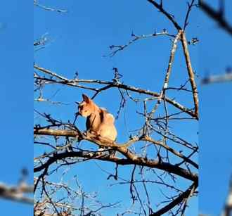 МЧС выступило со спорным призывом, белорусы ответили — «Пожалуйста, не распространяйте»