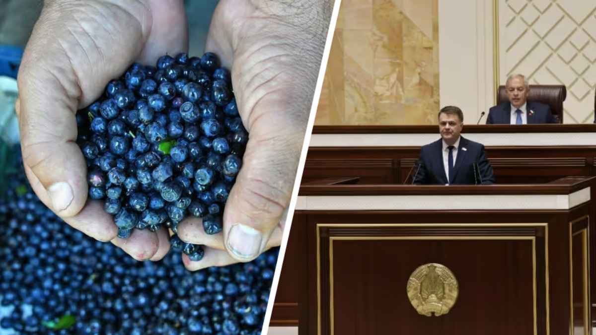 Парламент принял закон, пересматривающий сферы деятельности для ИП в Беларуси