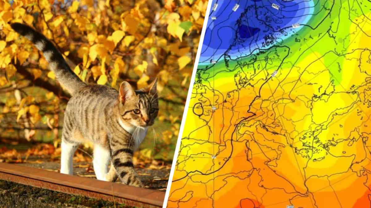 Синоптики «отодвинули» приход ультраполярного вторжения в Беларусь. Когда ждать похолодания?