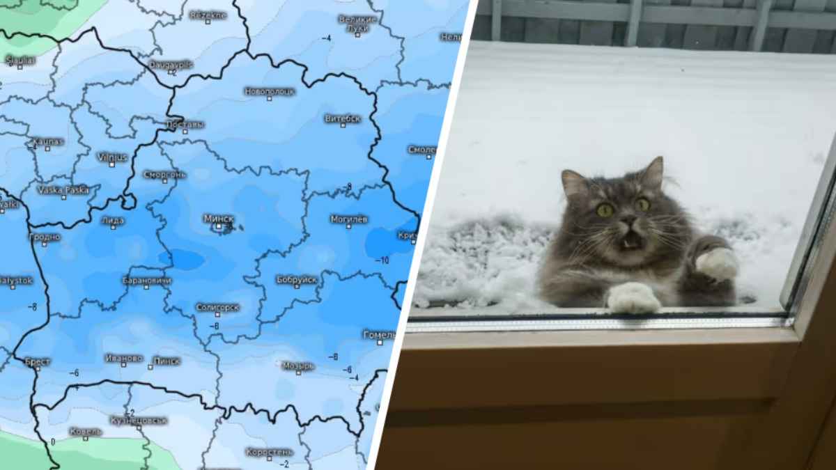 Синоптики предупредили белорусов о самой холодной ночи этой осени. Как долго продержится -10°С?