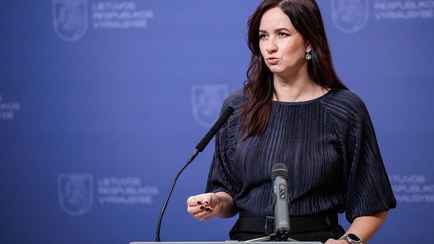 Закроет границу с Беларусью? Латвия пообещала проявить «солидарность» с Литвой