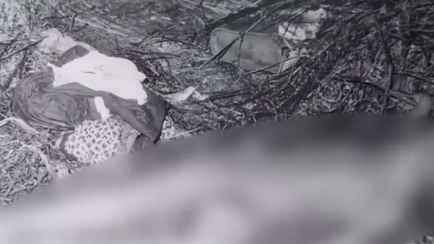 На Гомельщине 11-летний мальчик украл велосипед и задушил свидетеля — 9-летнюю сестру — МВД