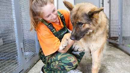 Минский приют для животных попросил руку и сердце белорусов