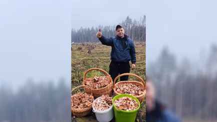 «Нормально пошли» — Грибники показали, где в Беларуси «выстрелили» осенние опята