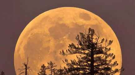 Готовим камеры и пледы – грядёт Бобровая Луна. Вот как не пропустить самое яркое суперлуние-2025