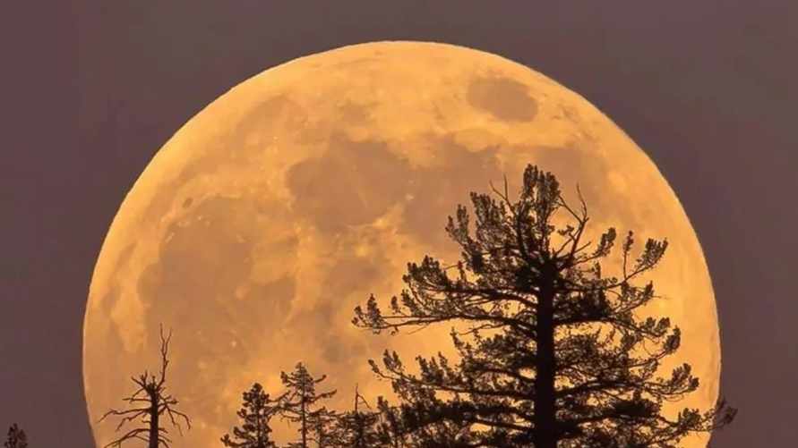 Фото иллюстрационное