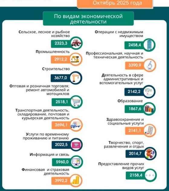 В Беларуси выросла средняя зарплата. В каких областях всё-таки упала?