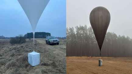 В Литве устроили массовую облаву на контрабандистов