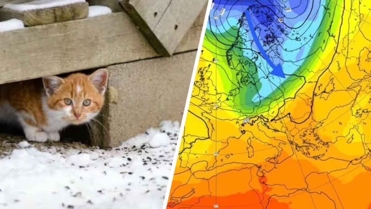 Осень сдала оборону? Синоптики назвали дату существенного похолодания и первого снега в Беларуси