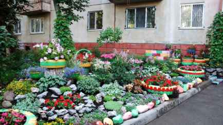 В Парламенте отчитались, сколько миллионов цветов посадили в Беларуси в 2025 году