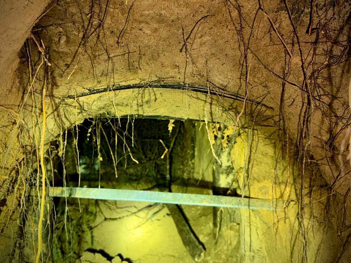 Сразу 180 нелегалов проникли в Польшу через подземный тоннель из Беларуси — Погранслужба Польши