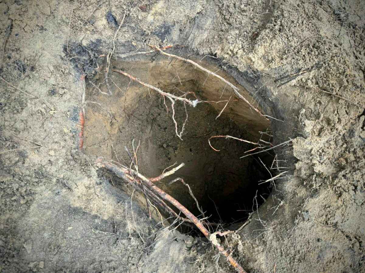 Сразу 180 нелегалов проникли в Польшу через подземный тоннель из Беларуси — Погранслужба Польши