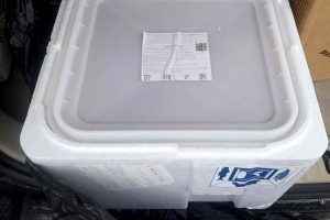 Любите покупать с рук свежую красную икру? Россельхознадзор показал, как её везут в Беларусь