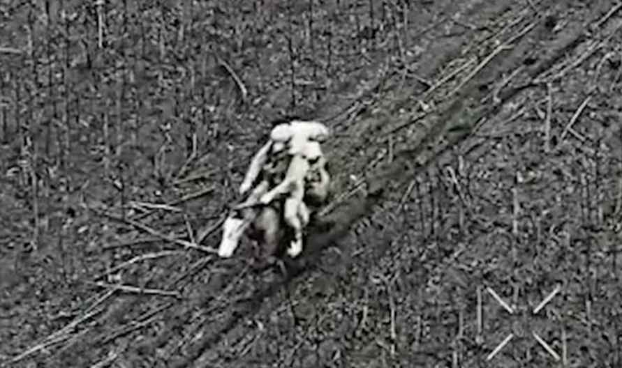 Российская конница шокировала украинцев на фронте