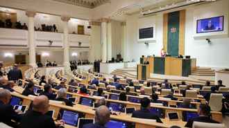 Грузия приняла закон по примеру Беларуси