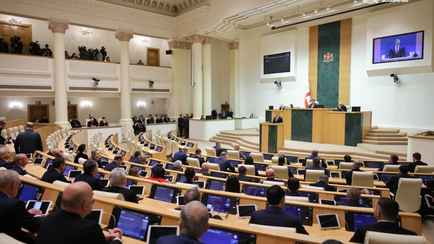 Грузия приняла закон по примеру Беларуси