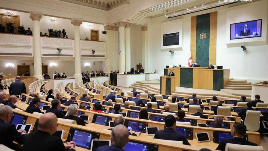 Грузия приняла закон по примеру Беларуси