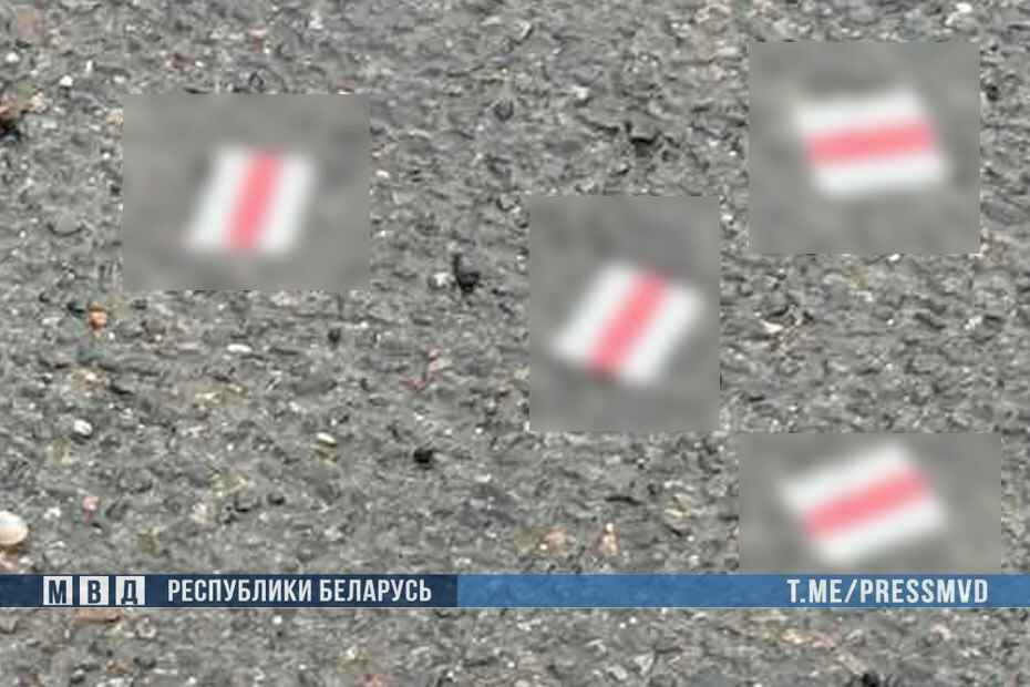 МВД показало, что было в беспилотнике, упавшем в Гродно