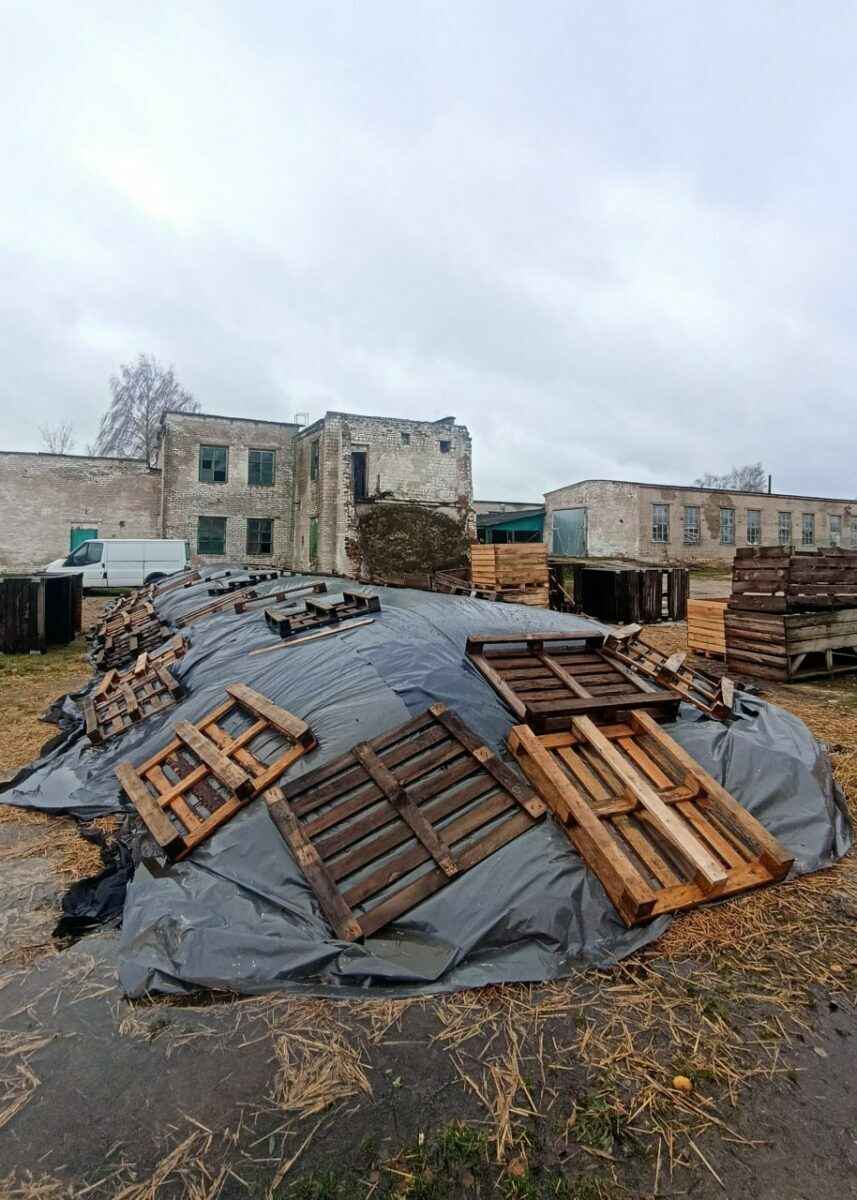 На Гомельщине тонны картофеля для зимнего стабфонда пытались хранить на земле под целлофаном