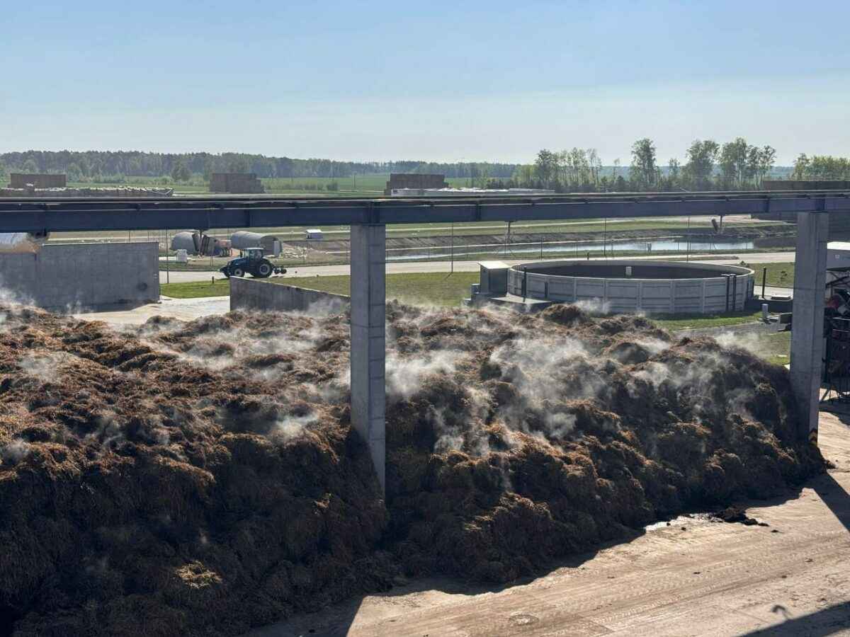 Жители Кобрина в Беларуси годами страдают от запаха грибного компоста. Что придумали для избавления?