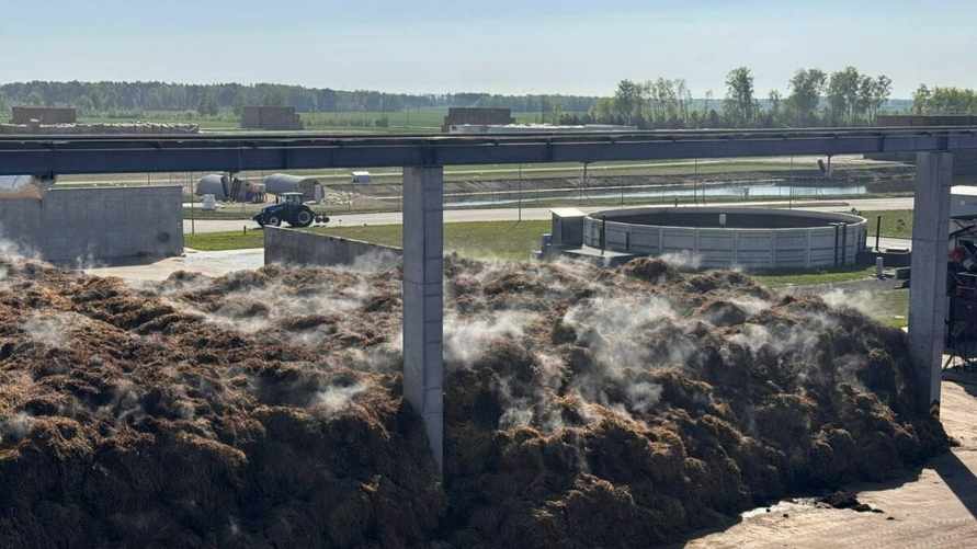 Жители Кобрина в Беларуси годами страдают от запаха грибного компоста. Что придумали для избавления?