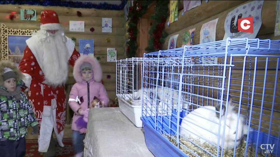 Минский Дед Мороз поселился в зоопарке. За что попросят 42 рубля?