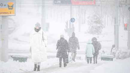 Белгидромет назвал дату наступления морозов до -12°C в Беларуси