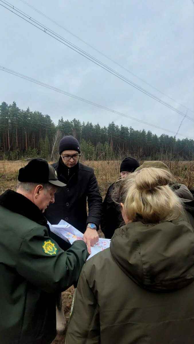В Минлесхозе Беларуси показали, почему не всю буреломную древесину убрали в лесах - Мы едва смогли добраться