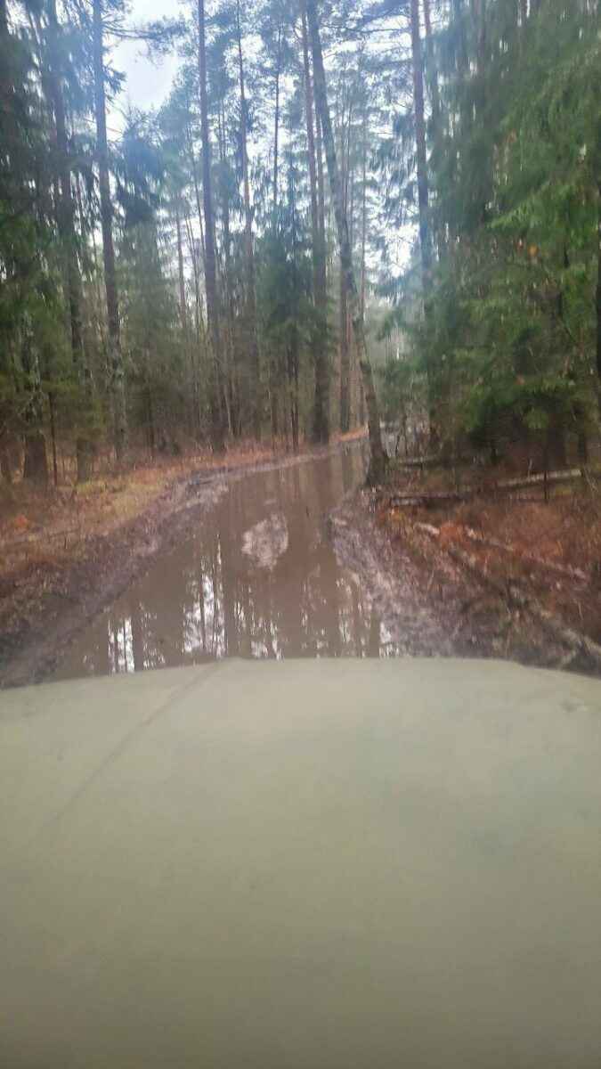 В Минлесхозе Беларуси показали, почему не всю буреломную древесину убрали в лесах - Мы едва смогли добраться