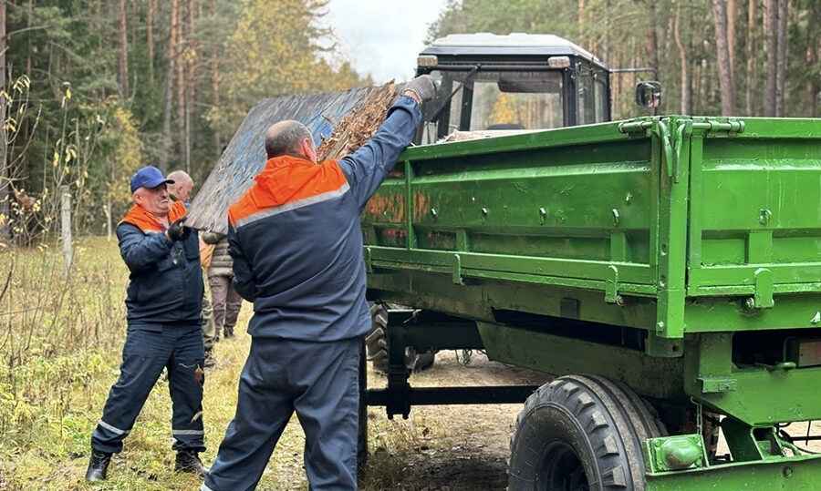 Миниприроды Беларуси запустило чат-бот для жалоб на свалки, вырубки и загрязнение водоёмов
