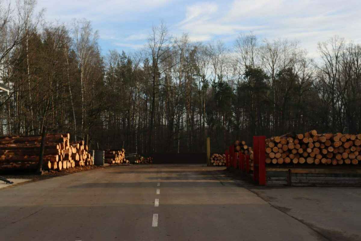 Надо идти в ногу со временем - в Минлесхозе объявили о масштабном производстве поддонов