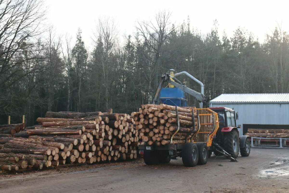 Надо идти в ногу со временем - в Минлесхозе объявили о масштабном производстве поддонов