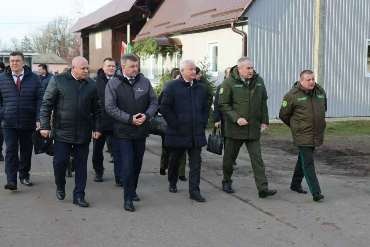 Надо идти в ногу со временем - в Минлесхозе объявили о масштабном производстве поддонов