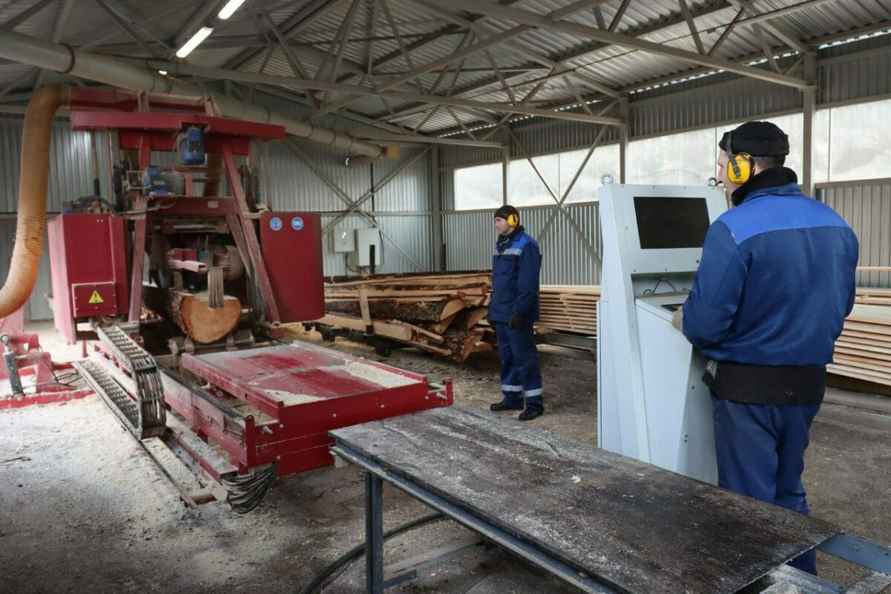 Надо идти в ногу со временем - в Минлесхозе объявили о масштабном производстве поддонов